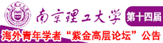 淫女诱惑视频南京理工大学第十四届海外青年学者紫金论坛诚邀海内外英才！